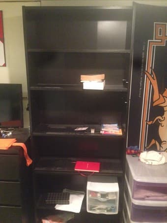 Bookshelf and 4 drawer dresser 1