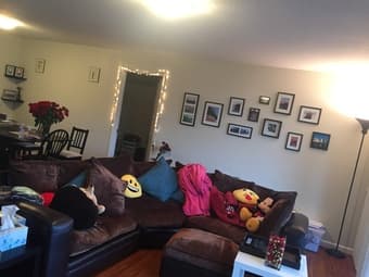 Below market rent in Palo Alto! $1862.50/month 1 bedroom, 1 bathroom. 1