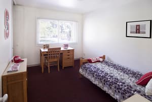 Sublet Private Bedroom in 3 bed 1 bath at Stanford -- June - August 2