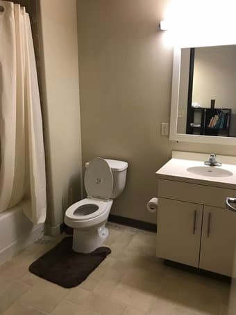 Amazing 1 bedroom 1 bath furnished Sublet in Munger 3