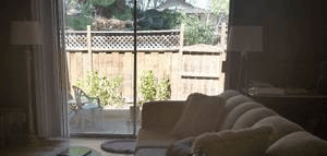 PRIVATE BEDROOM in 3-bedroom apt - Mountain View - 3-MONTH RENTAL 3