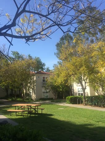 On-campus summer sublet for female Stanford affiliate 1