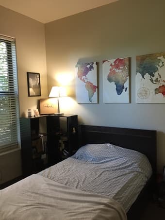 Munger Master Bedroom with Private Bath (fully furnished) 3