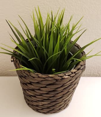 home decorations: rug, candle holders set, fake plants, incense set 3