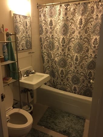 Entire 1 Bed/1 Bath apartment available in EV-Mid June to Early Sep. 3