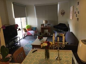 1 bed/1 bath fully furnished in EV for the Summer 2