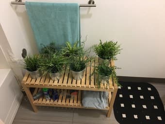 7 Artificial Plants + pots 1