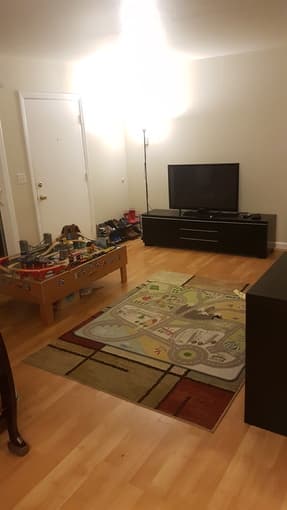 Large, 1 Bed room apartment in Mountain View from mid-June to late-Aug 3