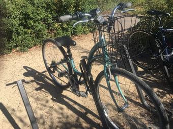 Great condition female bike with basket, lock, iPhone mount, & light! 1