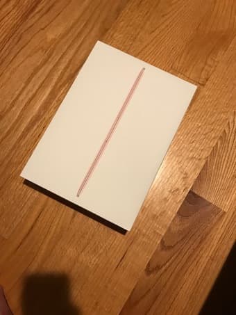 Rose Gold MacBook Pro 2