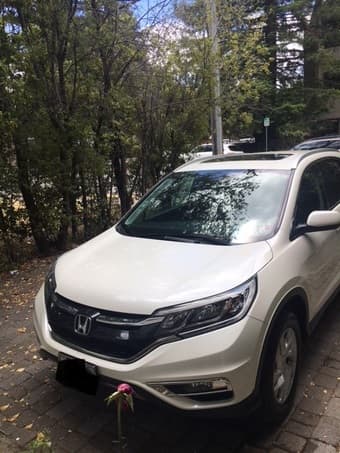 Honda CR-V in Excellent Condition! 1