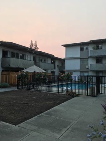Private room in 2 BR in downtown Mountain View July 1 - Sep 13th 3