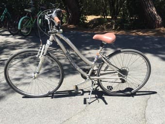 Bike + U Lock $70 OBO 1