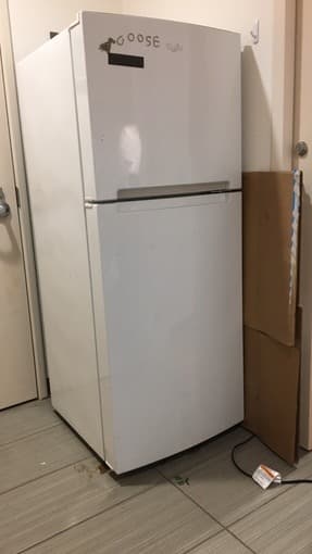 Full-sized Refrigerator, Great Condition! $150 OBO 1