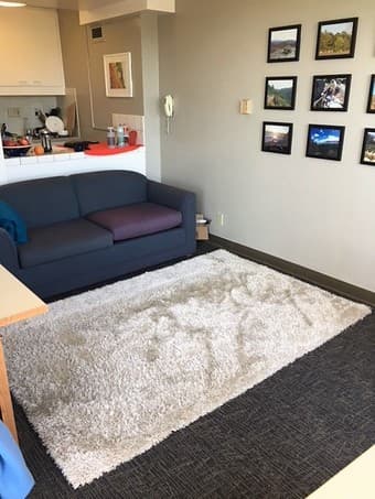 rug - great condition 2