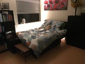 Room available immediately in house near Cal Ave w/ fun community 2