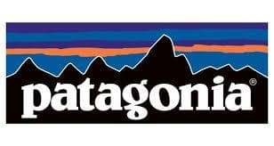 Patagonia Gift Card--$100 Gift Card for 1