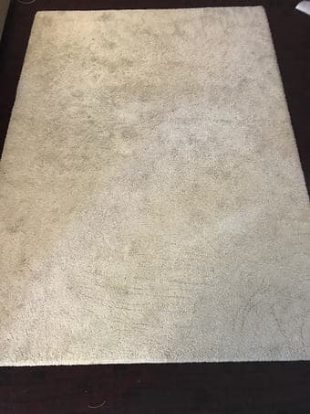 Living Room Rug (Escondido Village Moving Out) 1