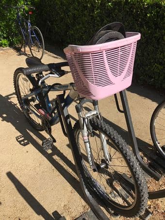 Selling trek women's bike (with free microwave) 1