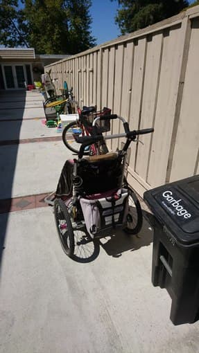 Thule Chariot Bike Trailer 3