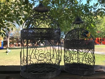 Decoration Jails 1