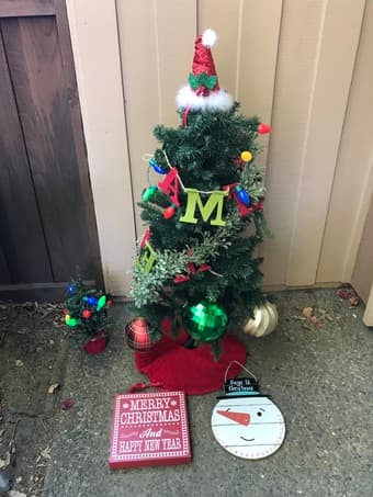 Christmas pack 1