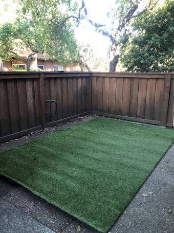 Artifical Grass for EV backyard 1