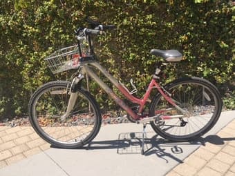 Amazing women's bike with basket 1