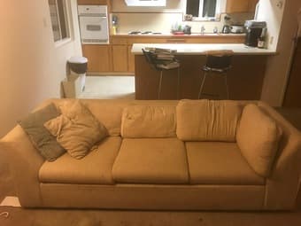 Free Couch w/ Good Vibes 1