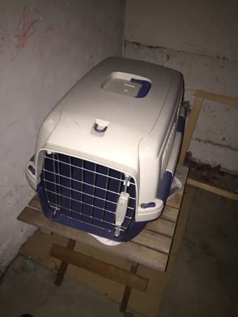 Small pet carrier 1
