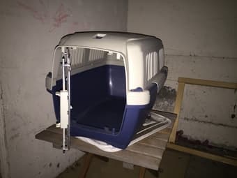 Small pet carrier 2