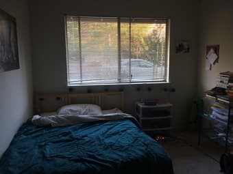 Sunny Bedroom in 3 Bed Apartment in Los Altos 1