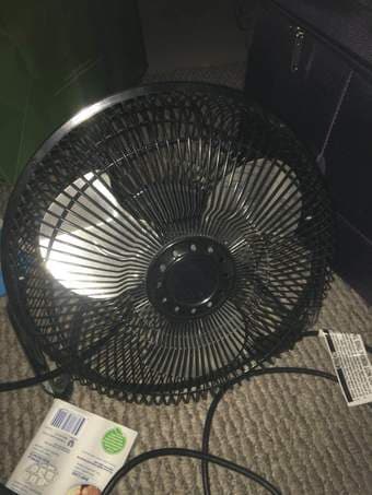 Electric Fan and Heater $10 each 2