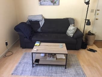 Ikea couch + wayfair coffee table for sale - like new condition 1
