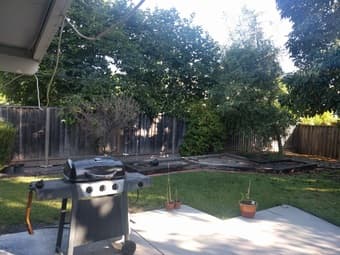 Roommate for house in MV 1