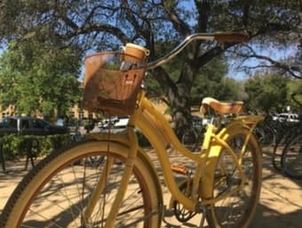 Cute Beach Cruiser Bicycle 1