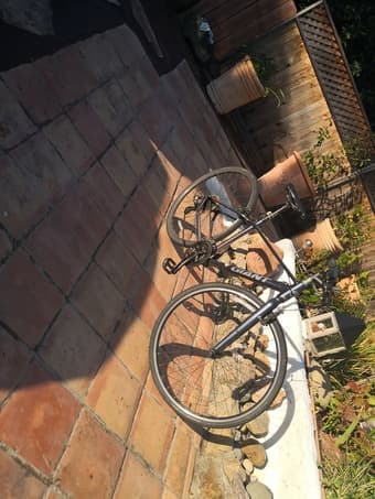 Giant Escape 2 Size S 1