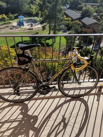 Litespeed Titanium Road Bike 1