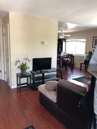 Room for rent with PhD Student Mountain View 2