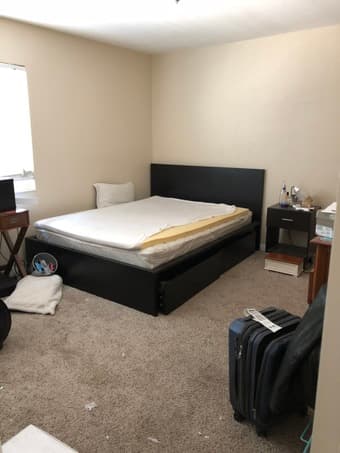 Room for rent with PhD Student Mountain View 3