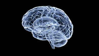 Paid Research Opportunity $350 - Prediabetes and Brain Aging 1