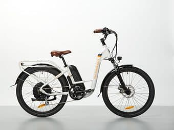 Electric Bike (RadCity Step-Thru) (price reduced!) 1