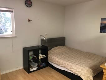 Palo Alto 独立屋 studio 出租 2
