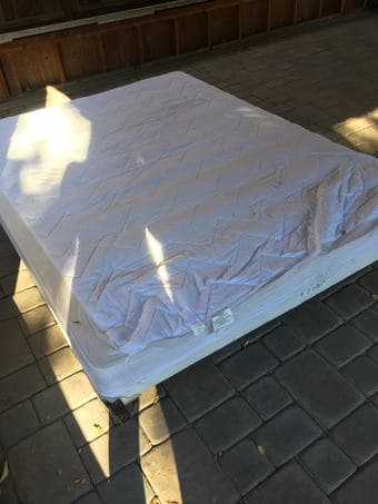 FREE full size bed frame and box spring 1