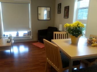 Room in 2-Bed Rains Apt available Oct. 26-early Jan 1