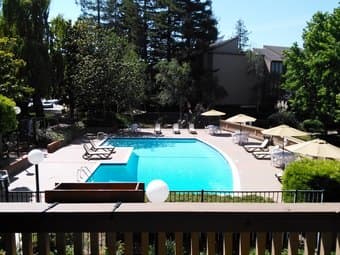Room Available in Large, Beautiful Apartment in Mountain View 3