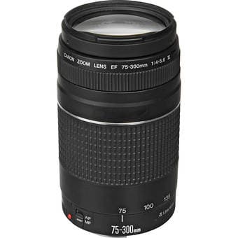Canon Rebel T3i DSLR camera + 2 Lenses 2