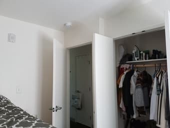 Room in 2-bedroom apartment in on-campus building for 4 weeks 2