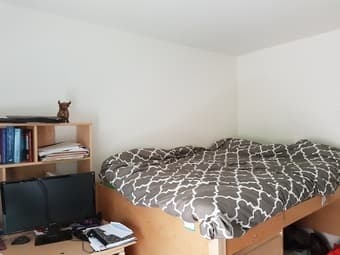 Room in 2-bedroom apartment in on-campus building for 4 weeks 1