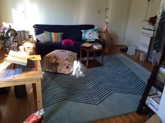 Crate & Barrel CB2 rug 6x9 2